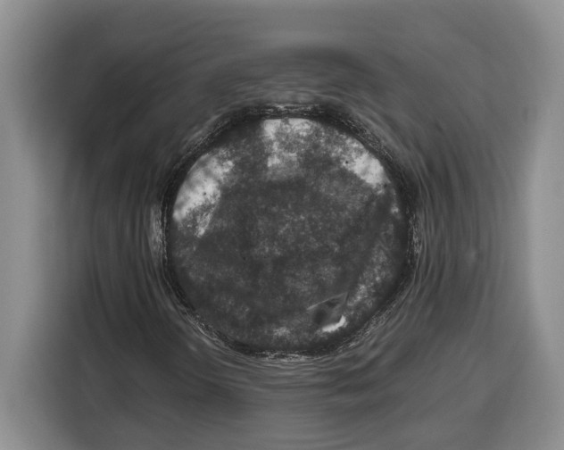 X0000115121298200911241339