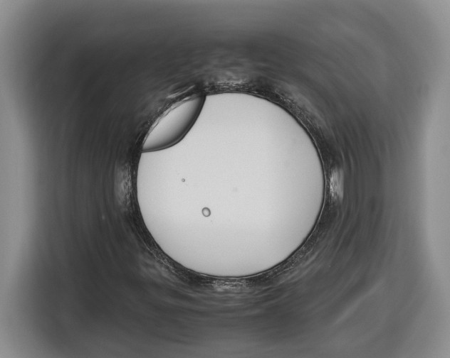 X0000115121299200911241339