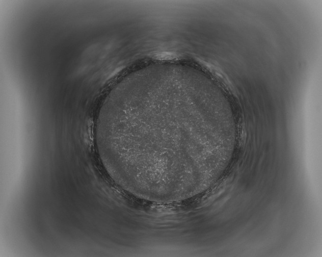 X0000115121301200911241339