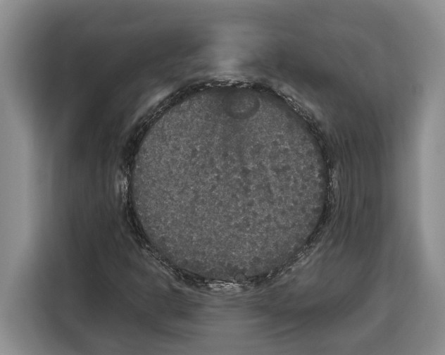 X0000115121302200911241339