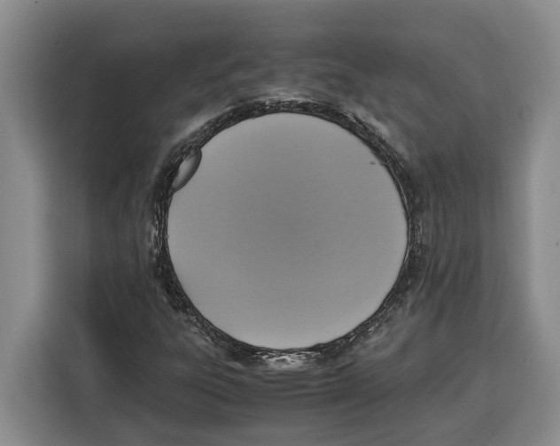 X0000115121303200911241339