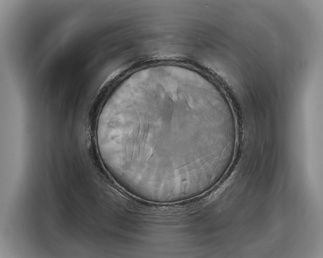 X0000115121306200911241339