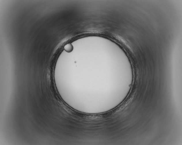 X0000115121307200911241339