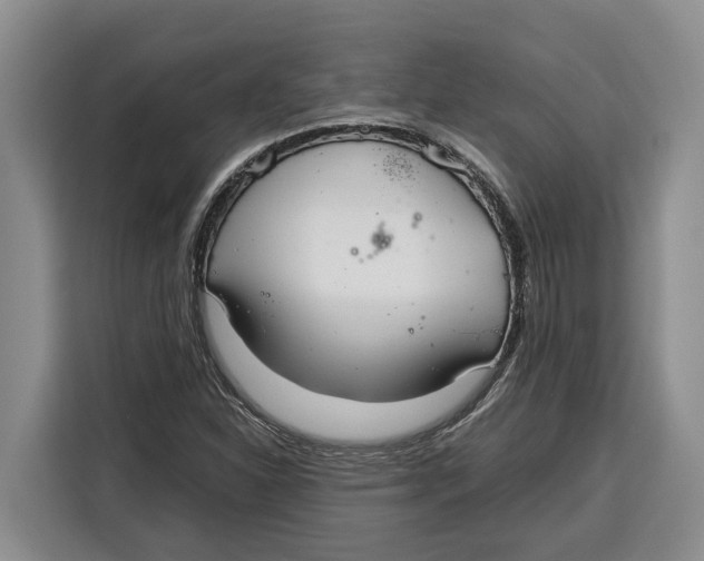 X0000115121310200911241339