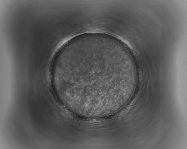 X0000115121311200911241339