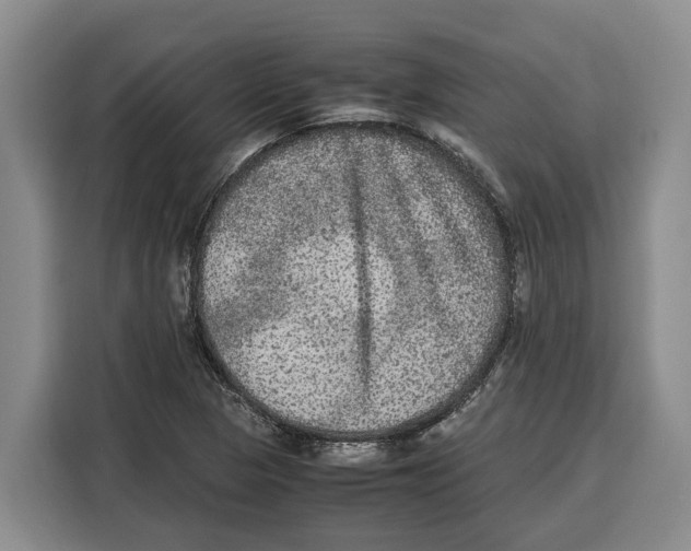 X0000115121313200911241339
