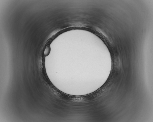 X0000115121315200911241339