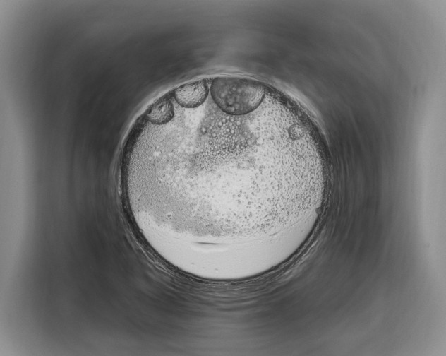 X0000115121318200911241339