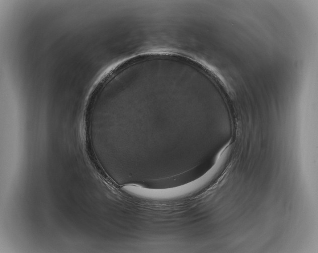 X0000115121319200911241339