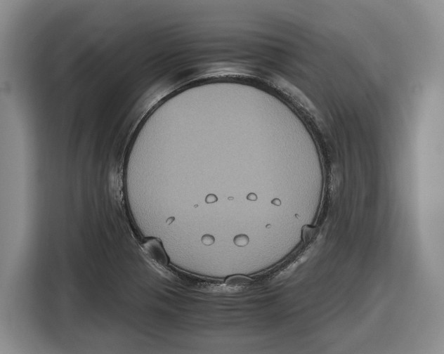 X0000115121321200911241339