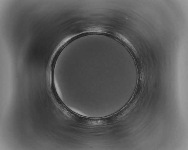 X0000115121323200911241339