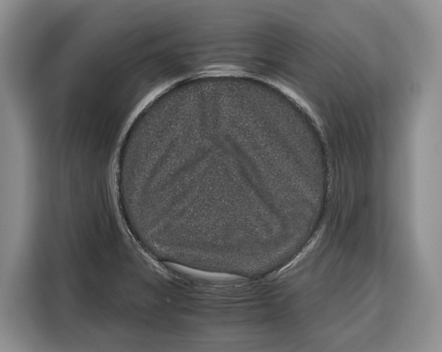 X0000115121325200911241339