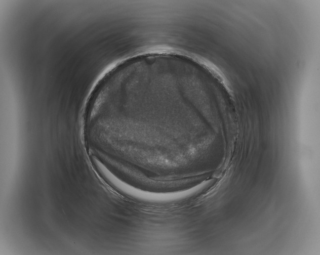 X0000115121326200911241339