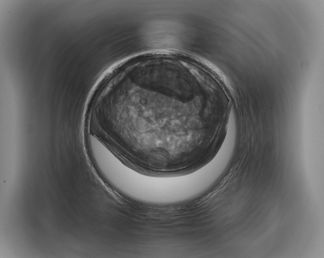 X0000115121327200911241339
