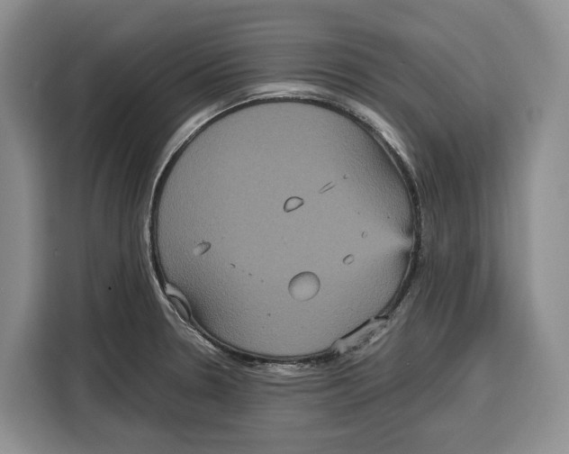 X0000115121330200911241339