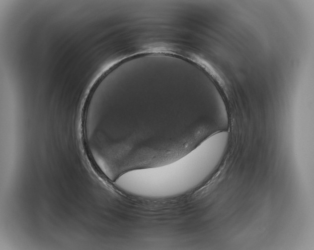 X0000115121331200911241339