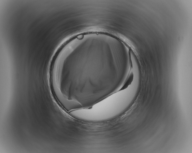 X0000115121334200911241339