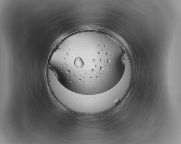 X0000115121338200911241339