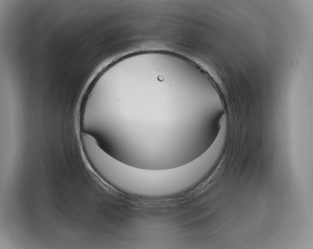 X0000115121342200911241340