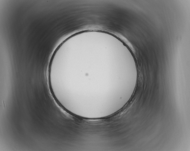 X0000115121343200911241340