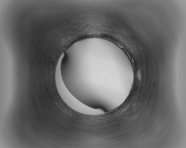 X0000115121348200911241339