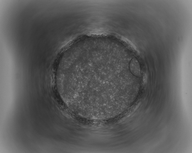 X0000115121350200911241339