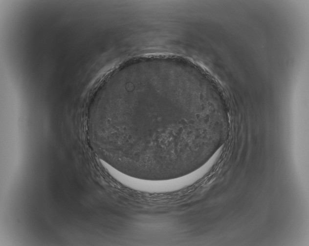 X0000115121351200911241339