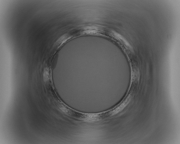 X0000115121353200911241339