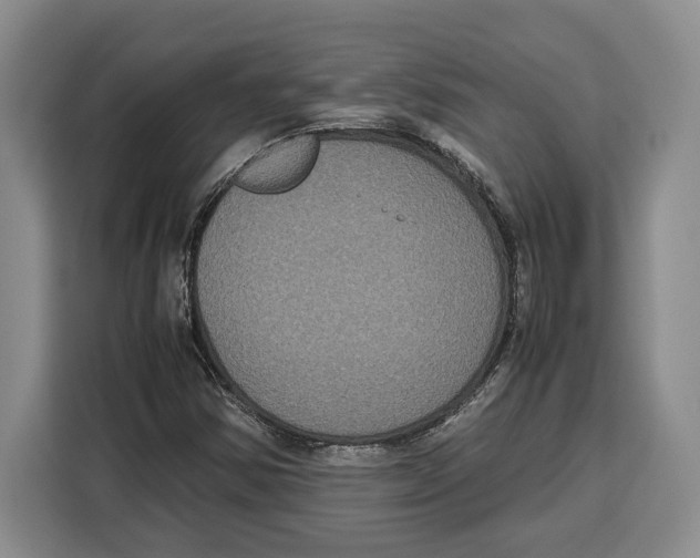 X0000115121354200911241339
