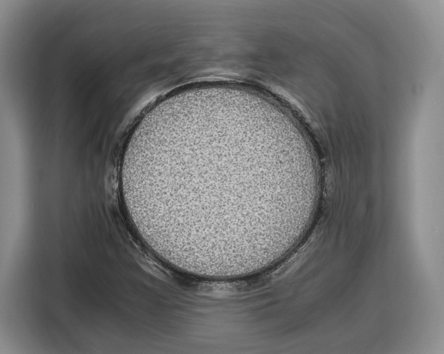 X0000115121355200911241339
