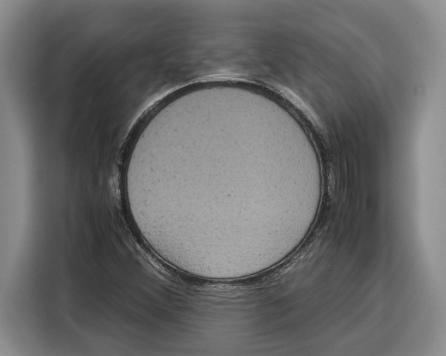 X0000115121356200911241339
