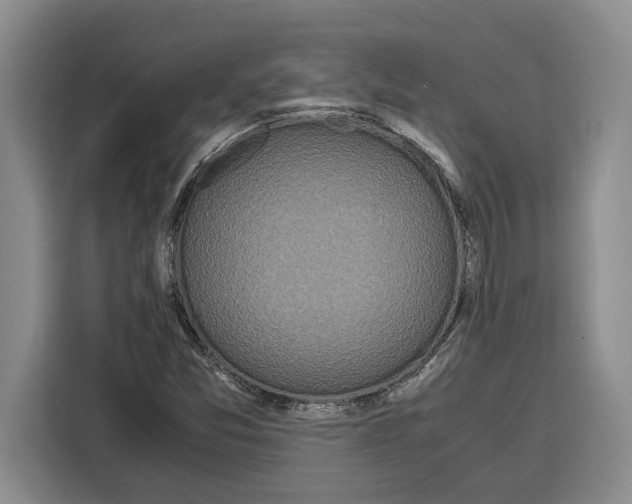 X0000115121357200911241339