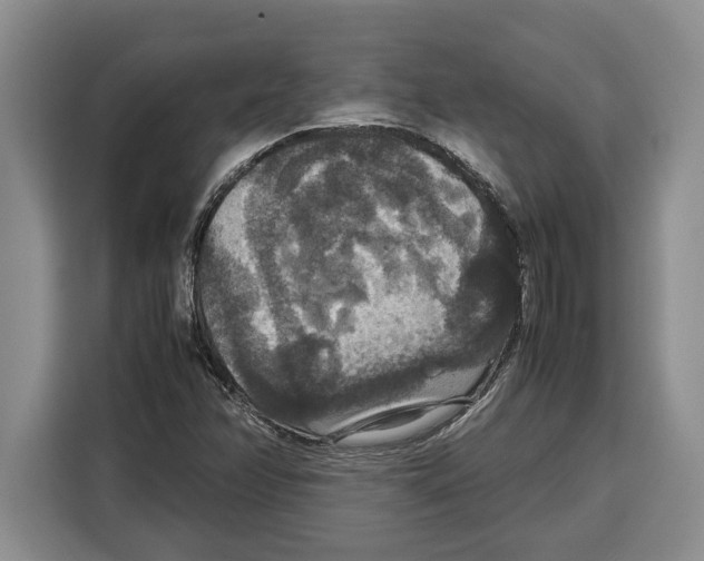 X0000115121358200911241339