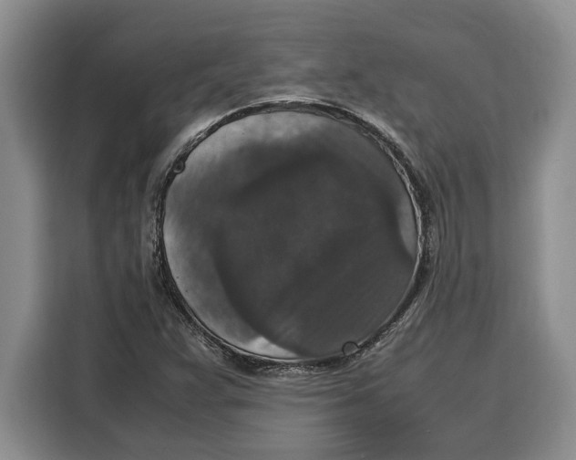 X0000115121359200911241339