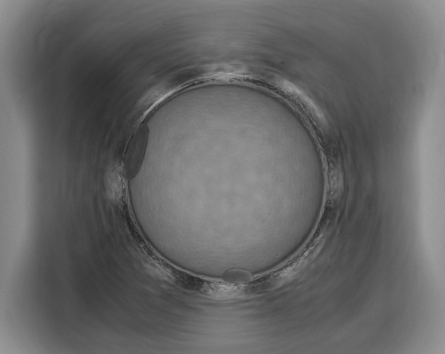 X0000115121361200911241339