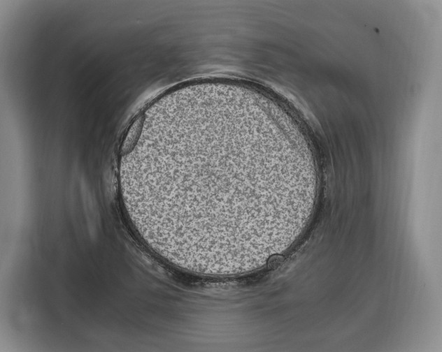 X0000115121363200911241339