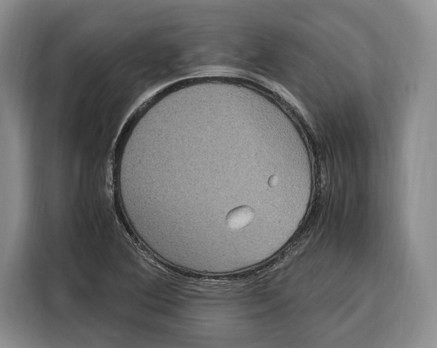 X0000115121364200911241339