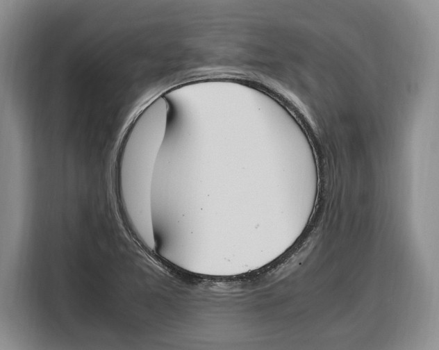 X0000115121365200911241339