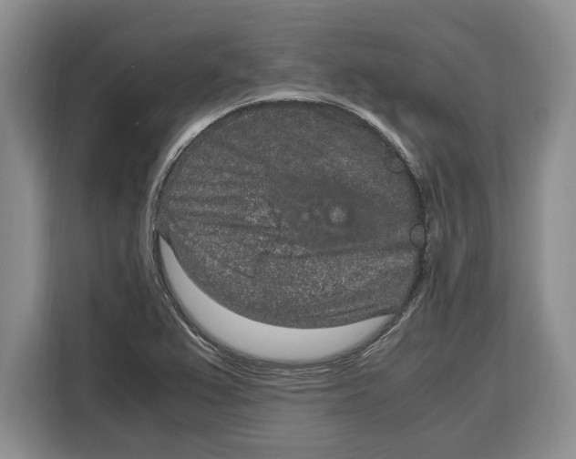 X0000115121367200911241339