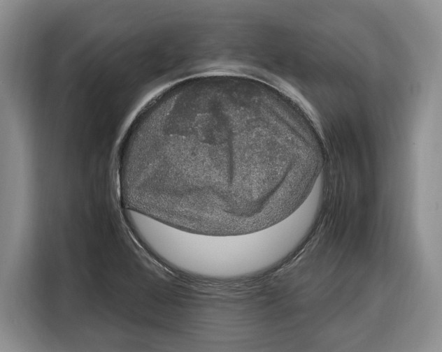 X0000115121368200911241339