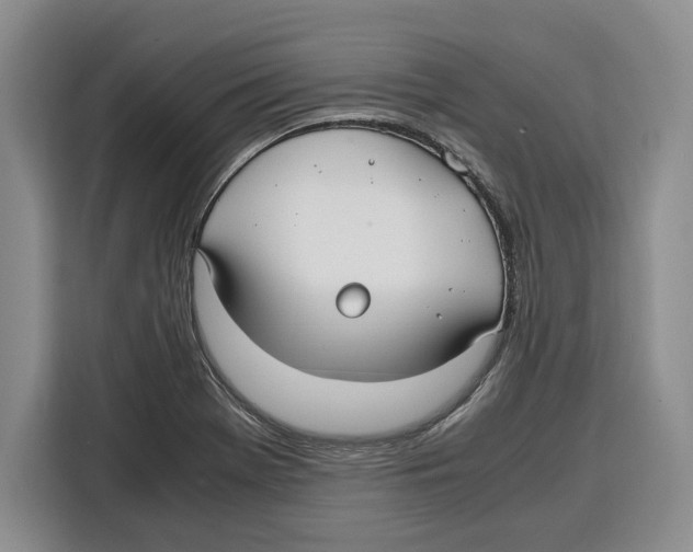 X0000115121369200911241339