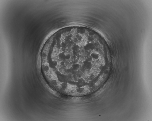 X0000115121371200911241339