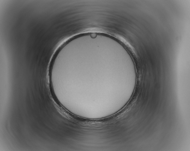 X0000115121372200911241339