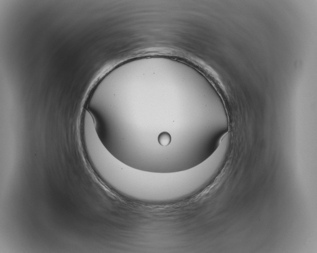 X0000115121373200911241339