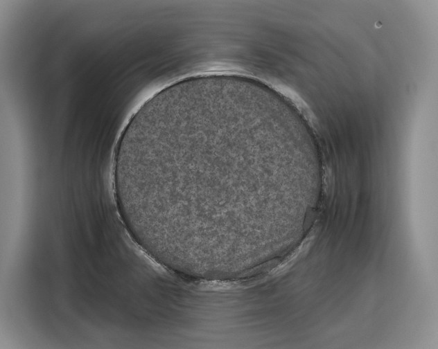 X0000115121374200911241339