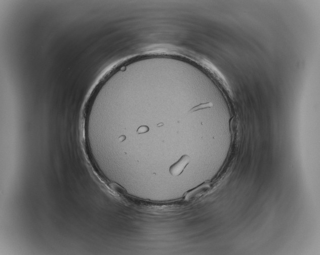 X0000115121376200911241339