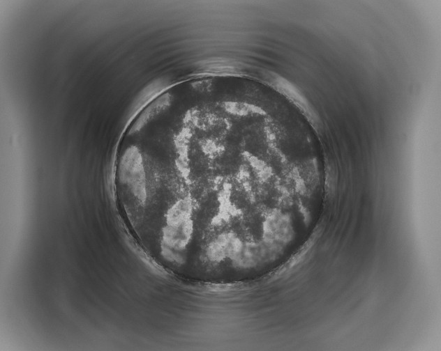 X0000115121378200911241338