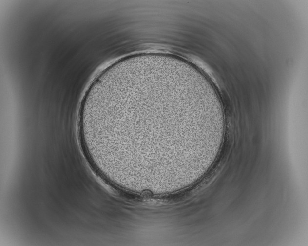 X0000115121379200911241338
