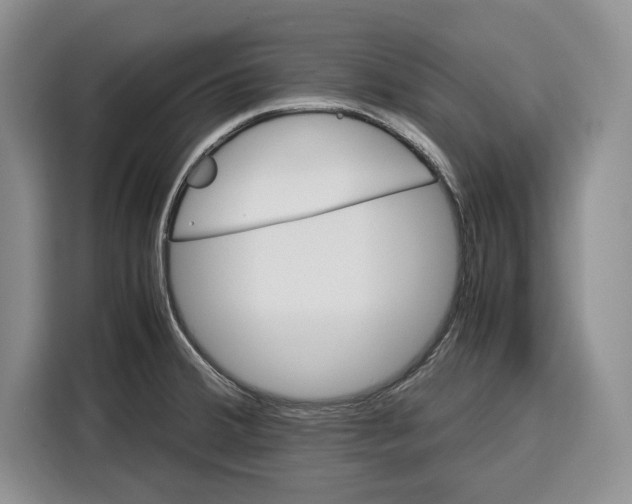 X0000115121380200911241338