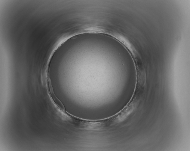 X0000115121381200911241338